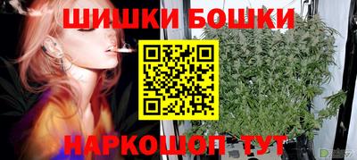бошки Будённовск