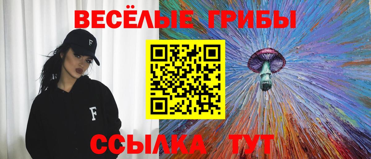 где можно купить наркотик  Вход с VPN  Галлюциногенные грибы Psilocybine cubensis  Уссурийск  Псилоцибиновые грибы ЛСД 