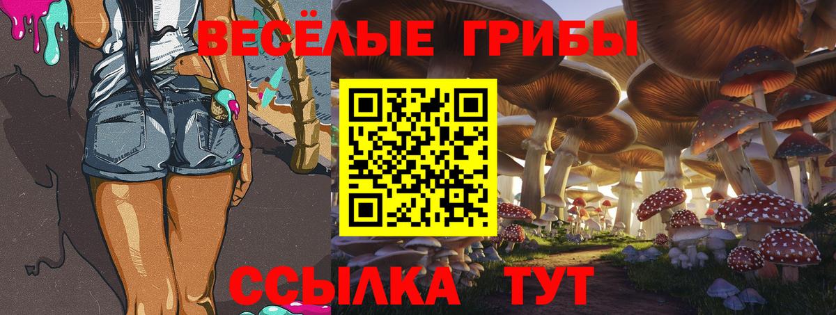 Псилоцибиновые грибы Cubensis Уссурийск